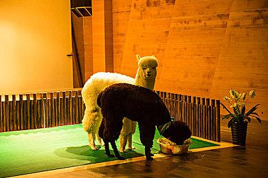 505公布春季发布会 玩家期待《控制2》亮相